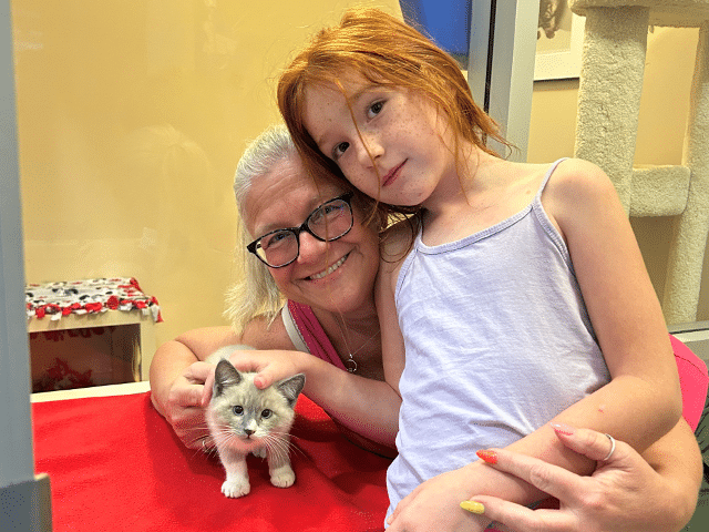 Recent Adoptions – Week of June 13