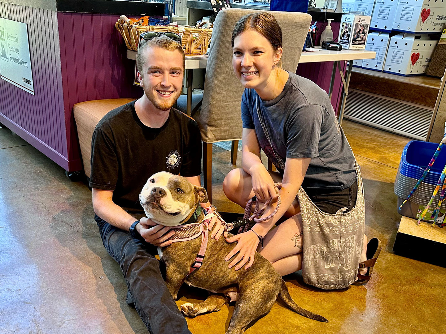 Recent Adoptions – Week of July 17
