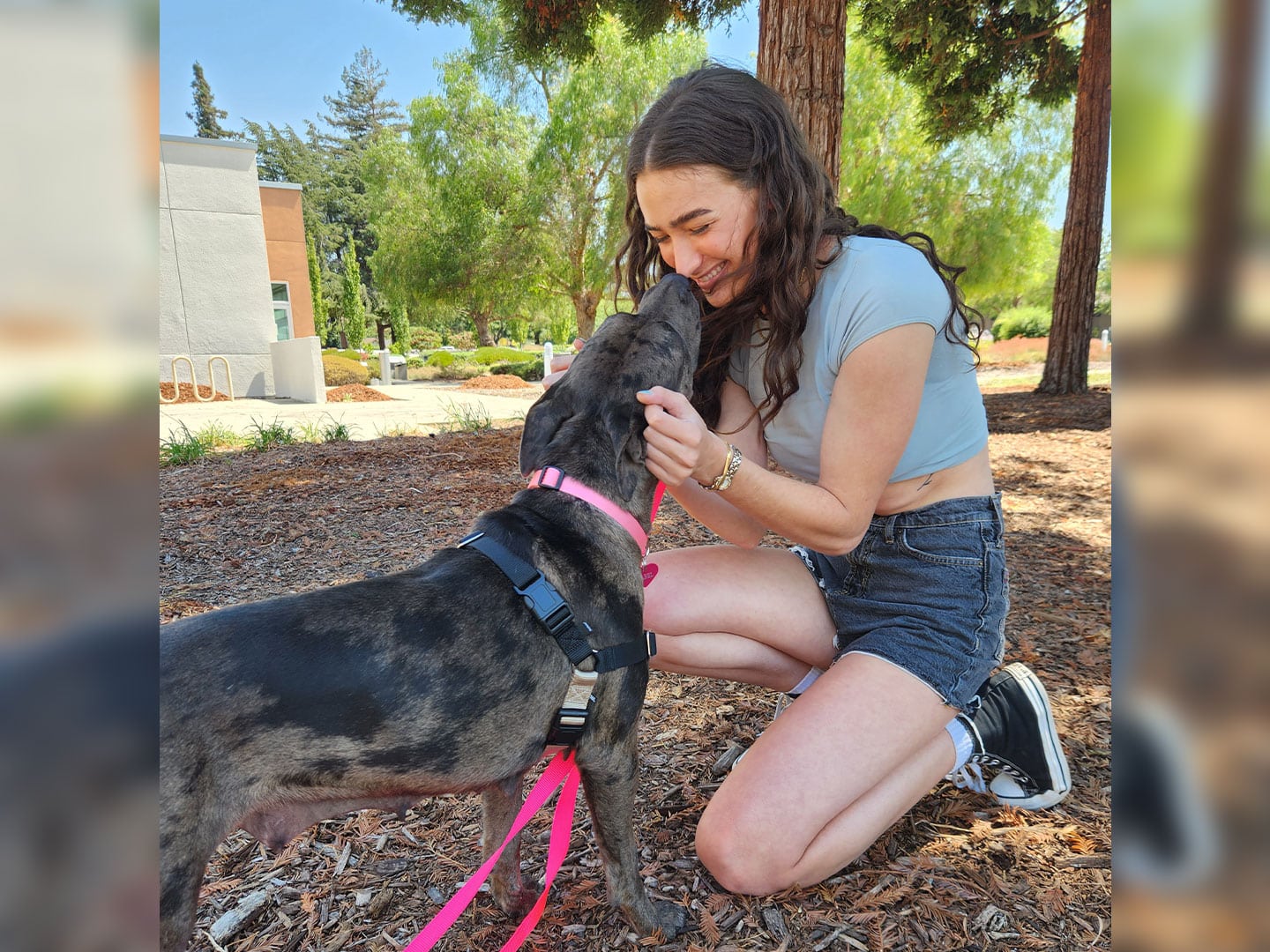 Recent Adoptions – Week of August 21