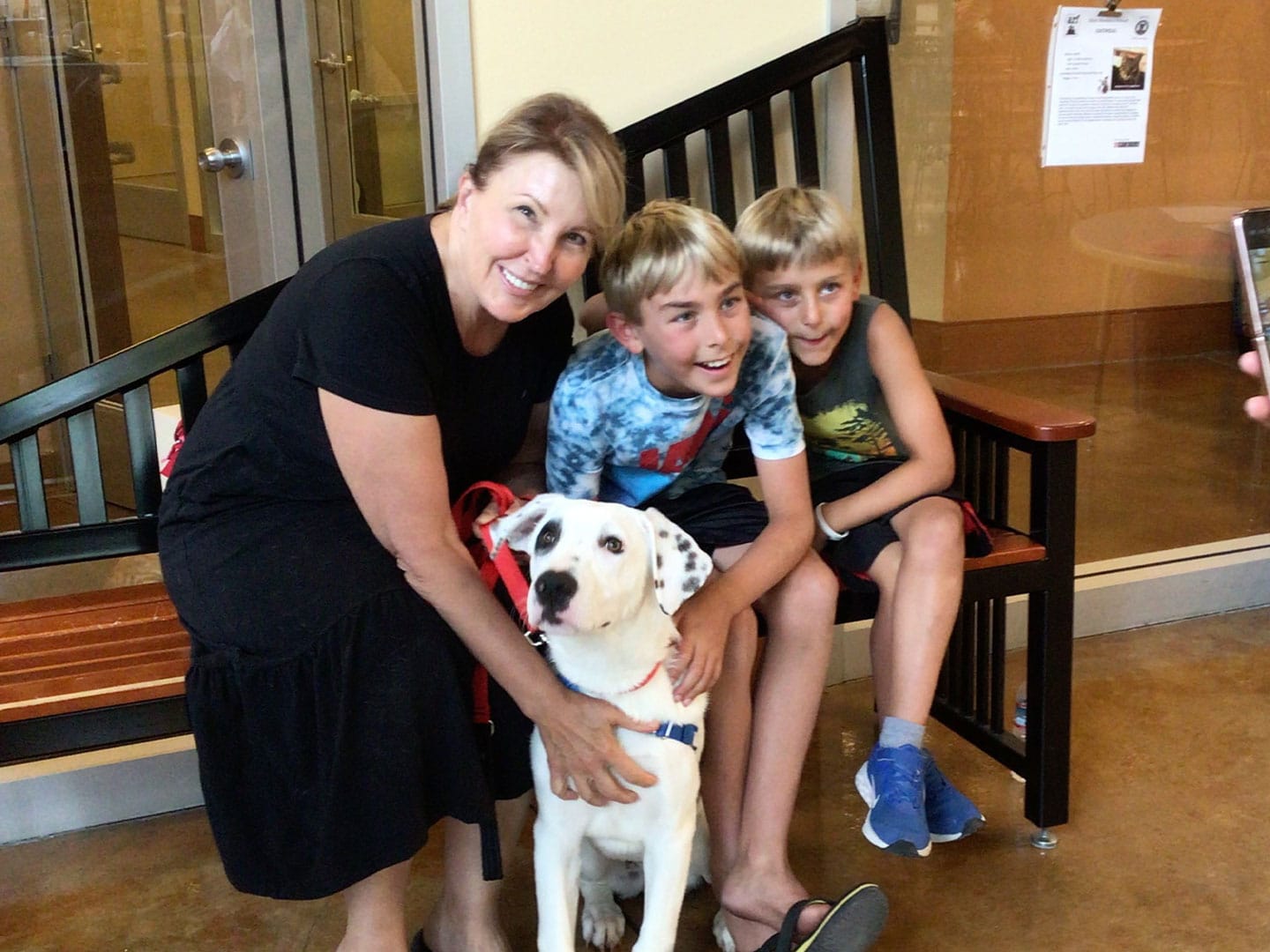 Recent Adoptions – Week of July 31