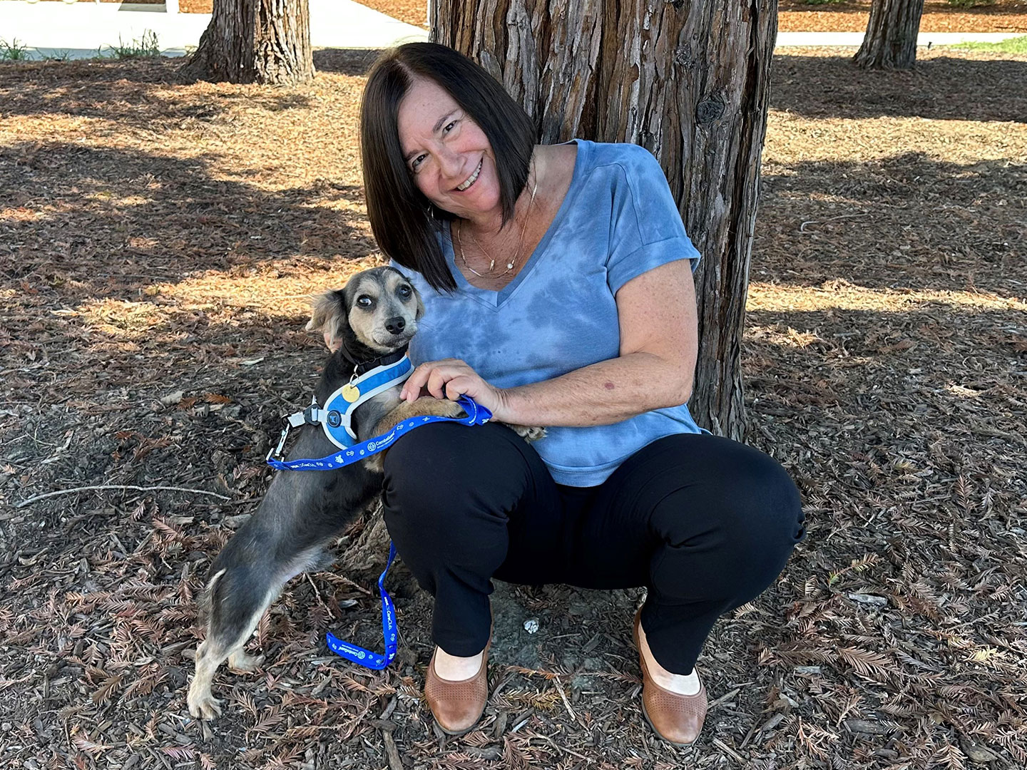 Recent Adoptions – Week of September 4