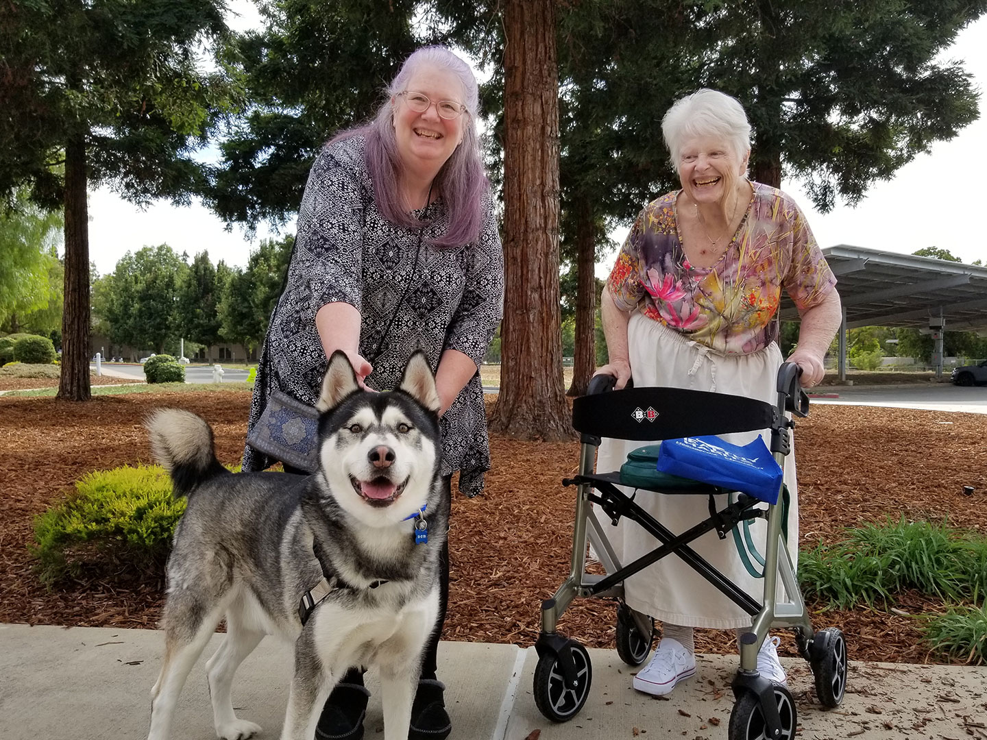Recent Adoptions – Week of October 9
