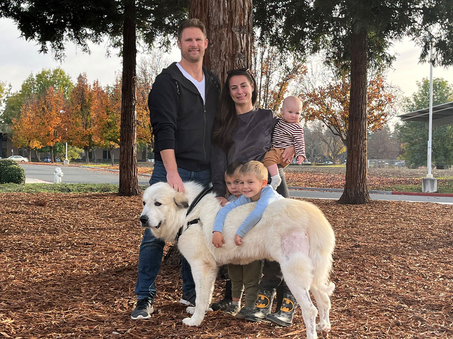 Recent Adoptions – Week of December 11