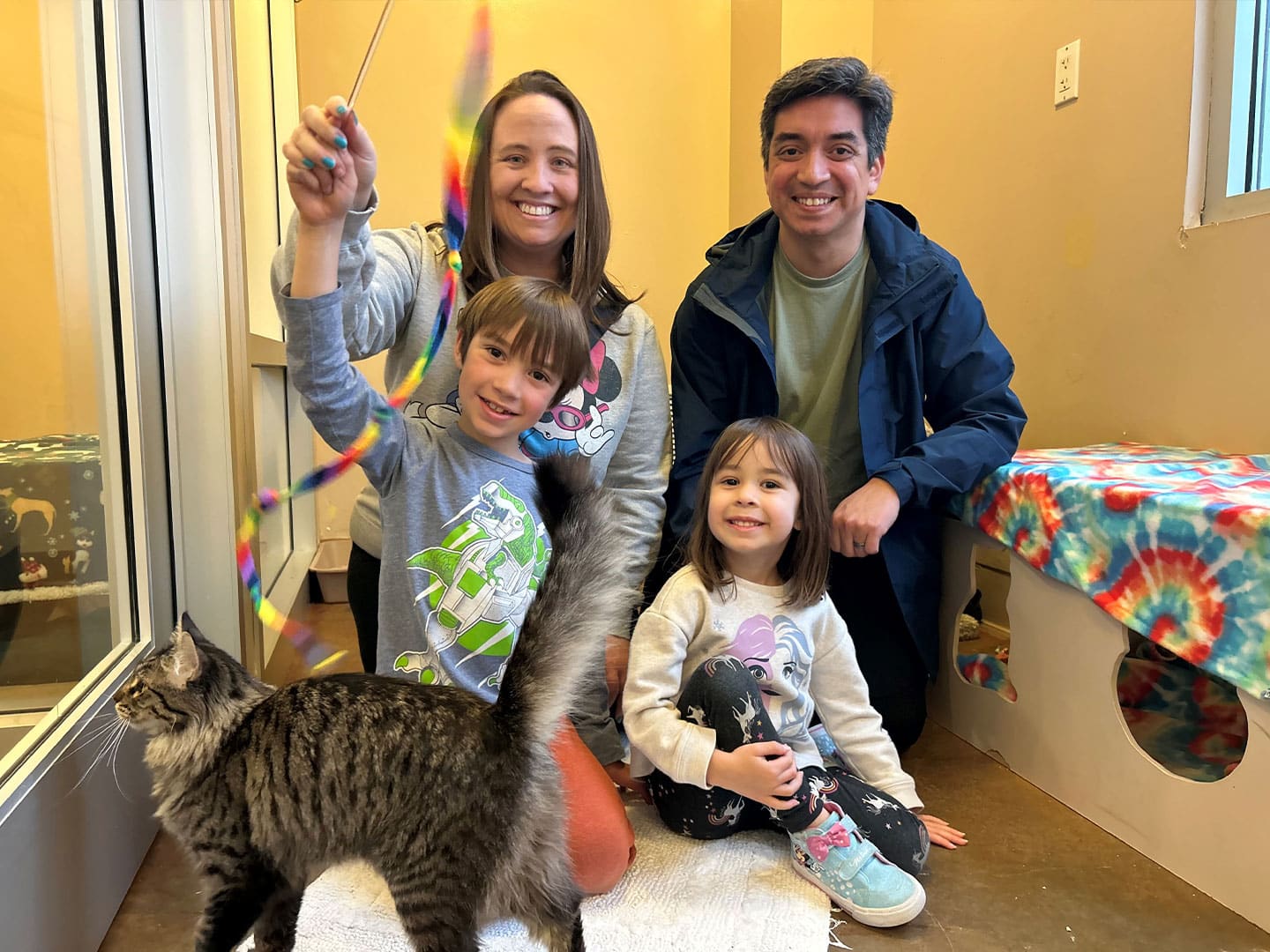 Recent Adoptions – Week of February 26