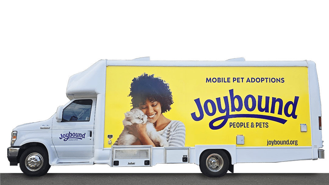 A side view of a white mobile adoption van featuring the logo "Joybound" and the message "Mobile Pet Adoptions." A woman is holding a cat, smiling, highlighting the theme of mobile adoption.