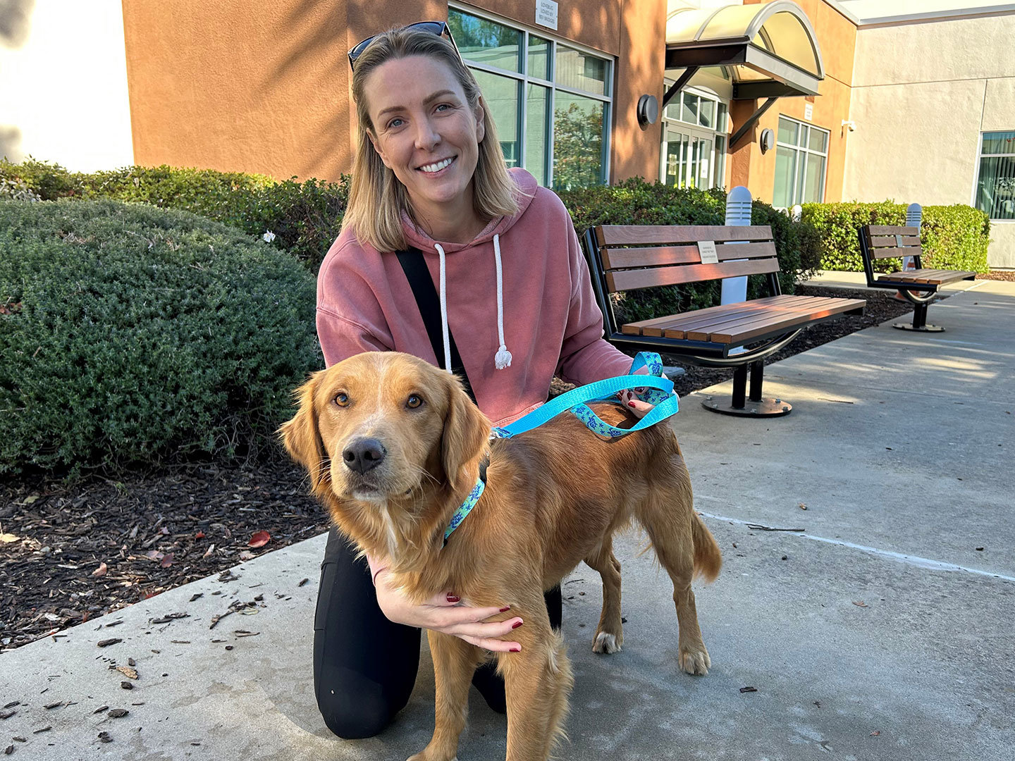 Recent Adoptions – Week of November 11