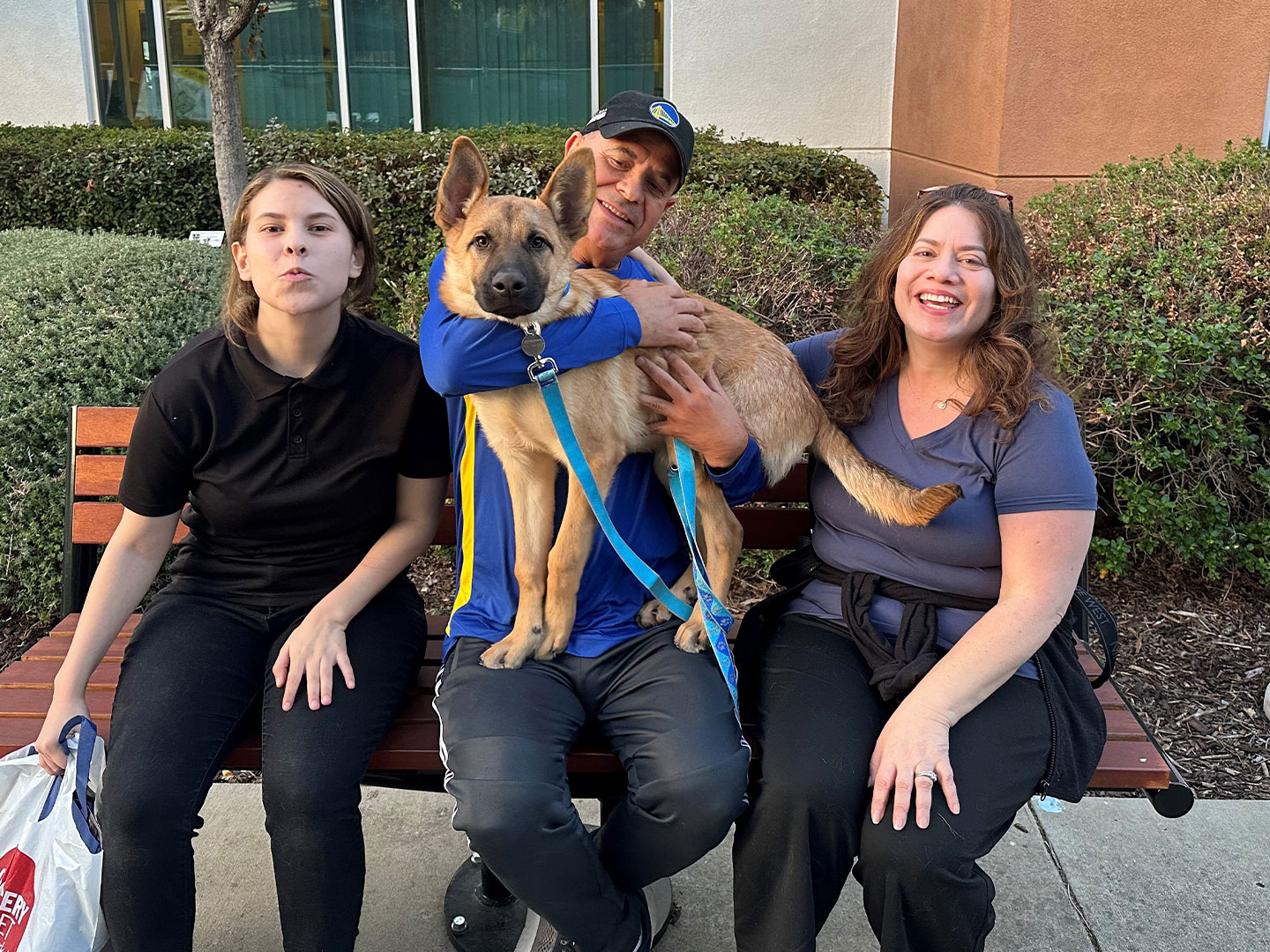 Recent Adoptions – Week of November 4