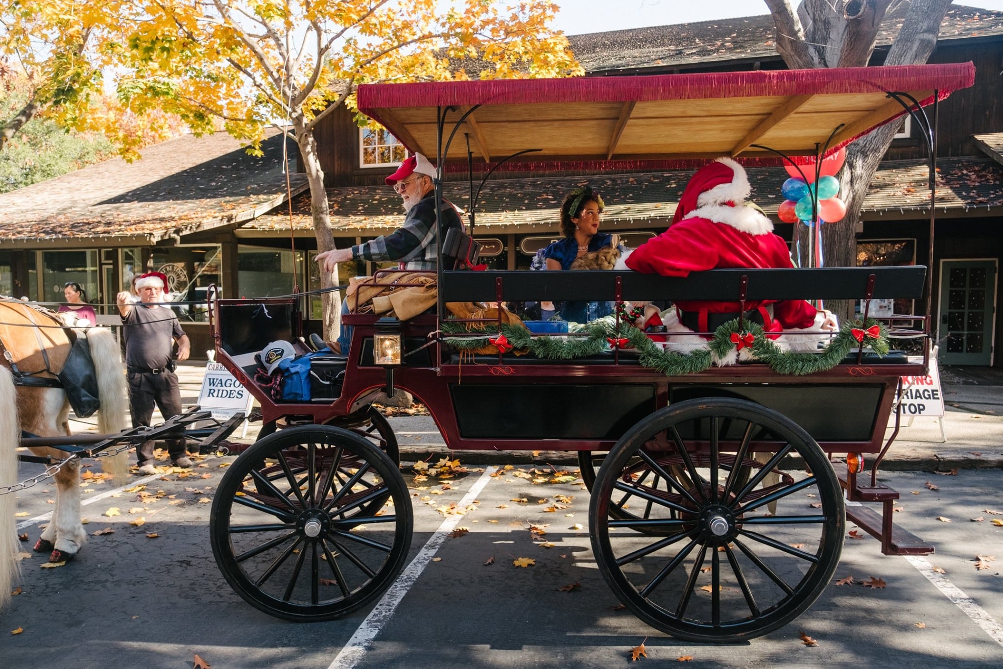 Mobile Adoptions at the Danville Livery