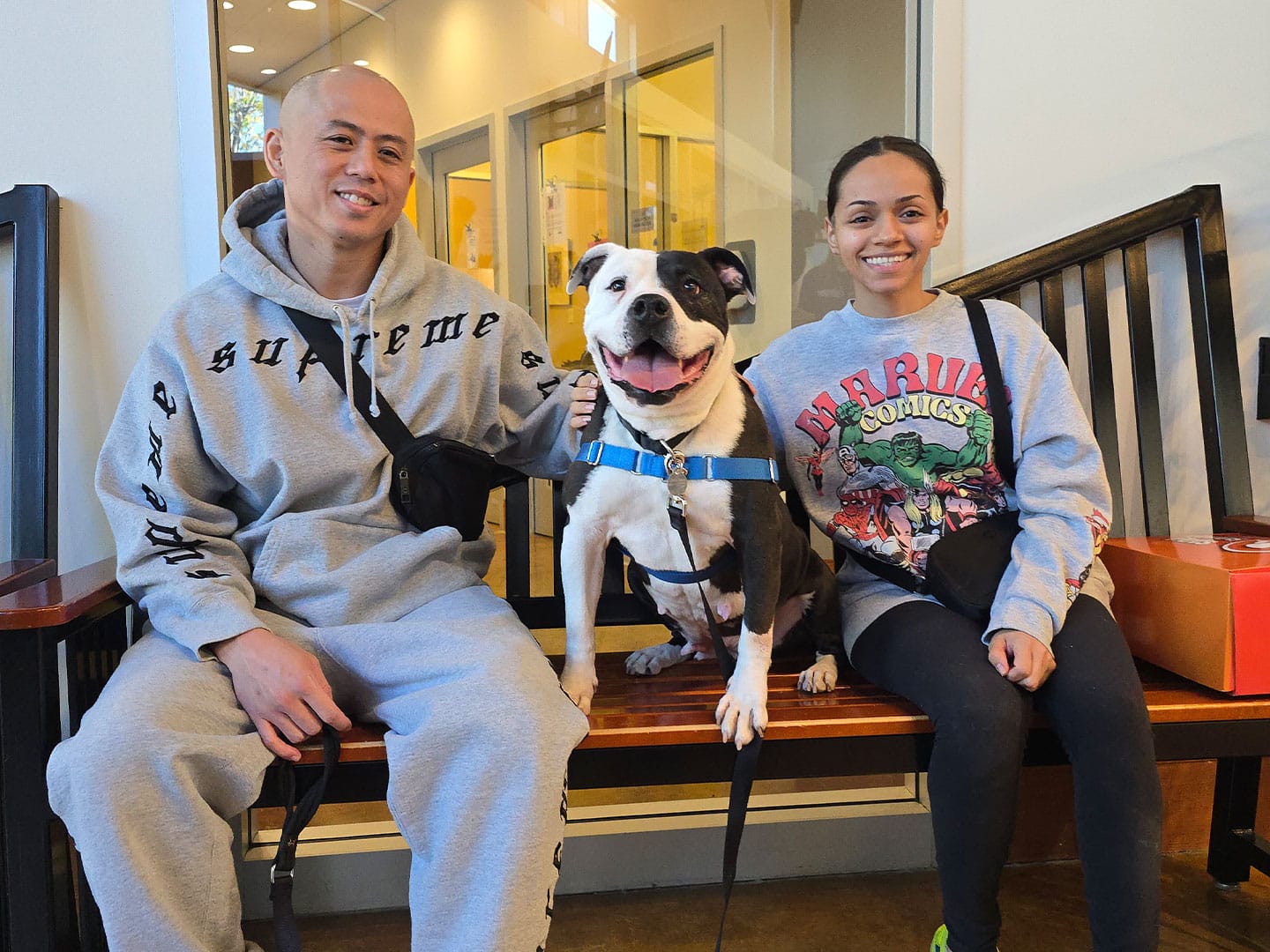 Recent Adoptions – Week of December 2