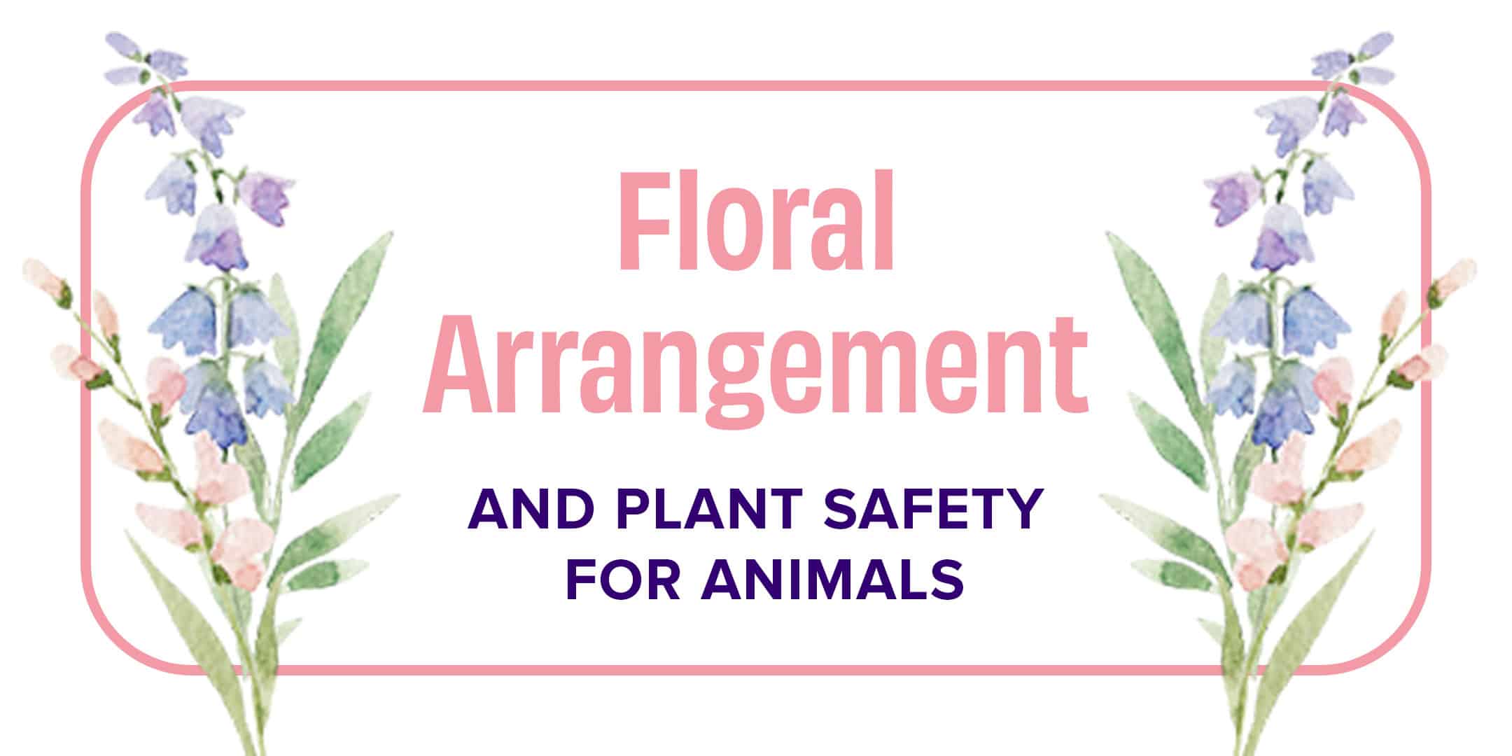 Floral Arrangement and Plant Safety for Animals