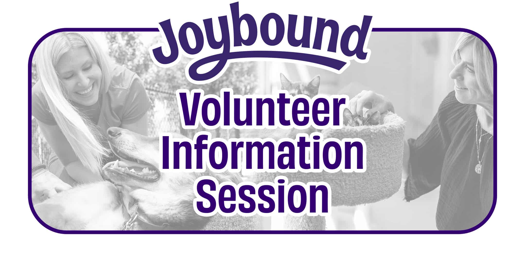 Volunteer Information Session