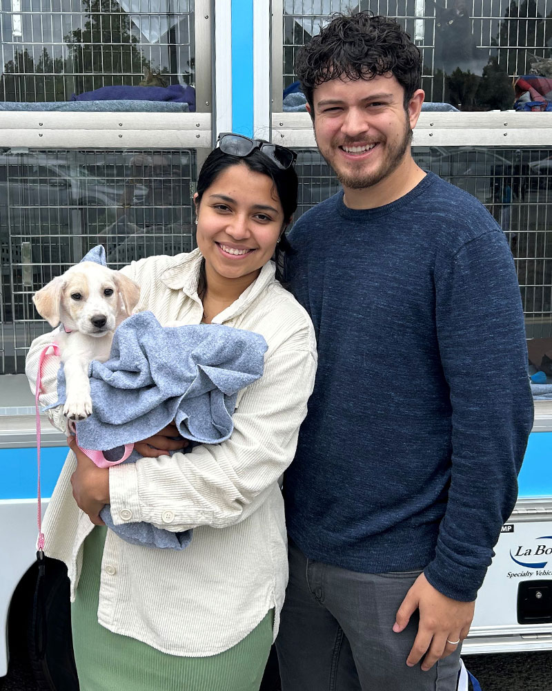 Mobile Adoptions at National Dog Day at Road Runner Sports (Concord)