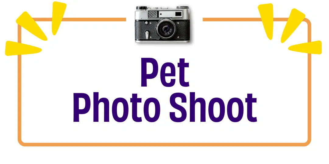 Holiday Pet Photoshoot