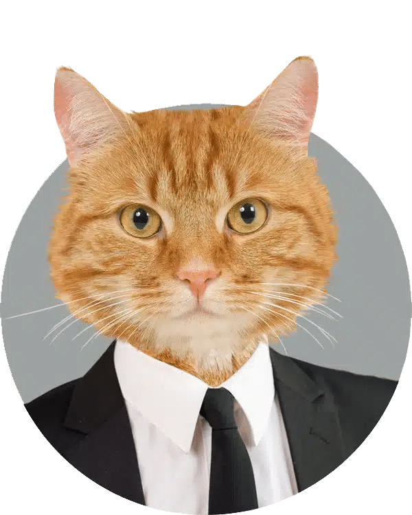 Board of Fur-rectors Contest