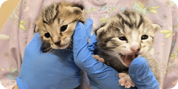 June 2025 eNewsletter