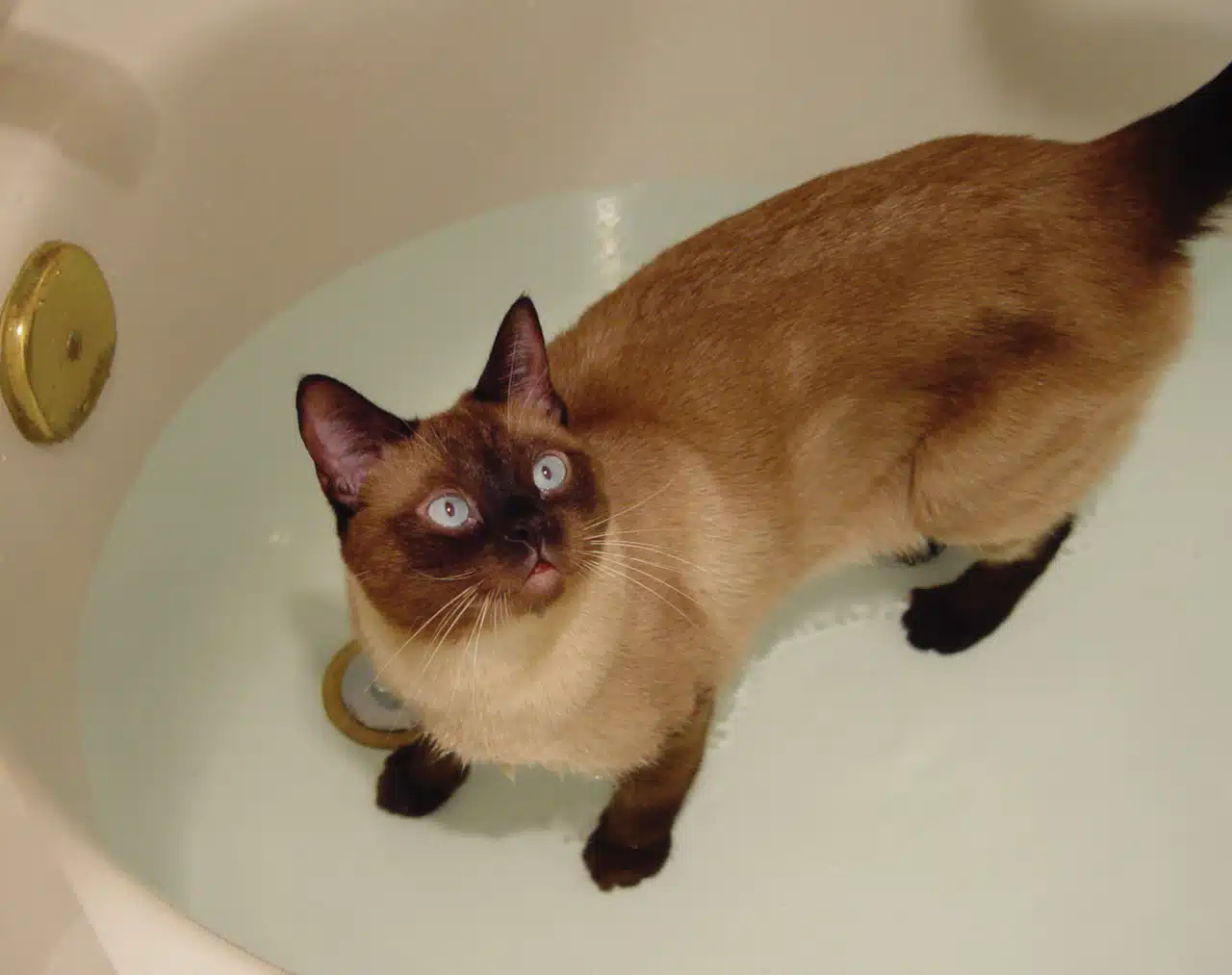 The Unexpected Joys of Fostering