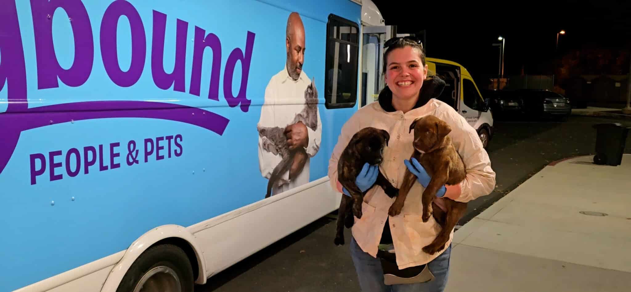 Helping Shelter Animals During the Palisades Fire