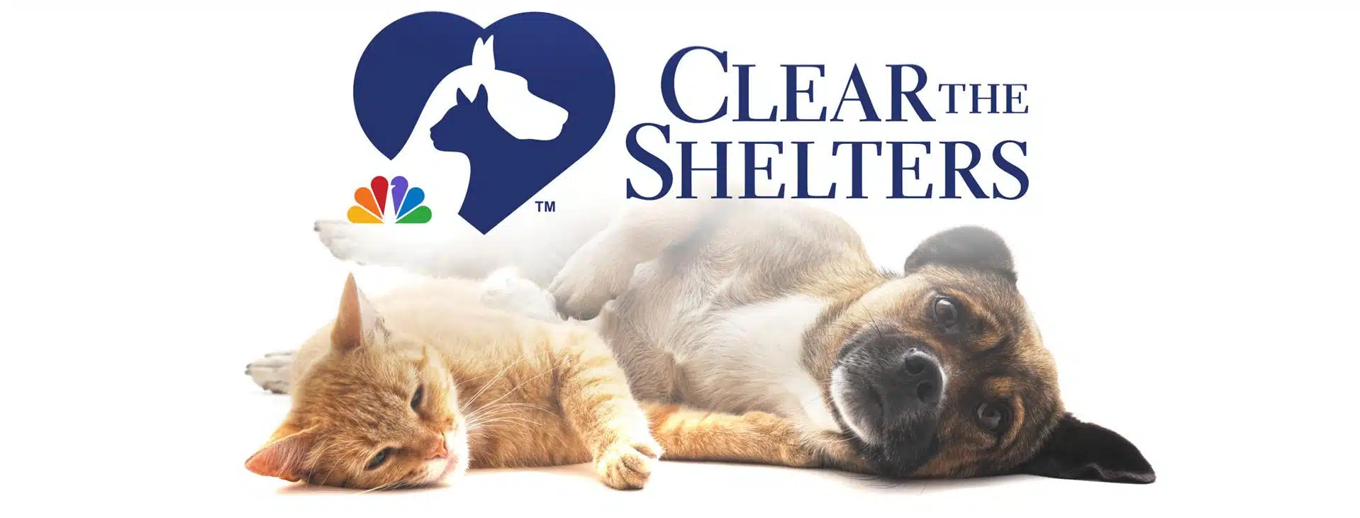 Joybound People & Pets Joins NBCUniversal Local’s 11th Annual ‘Clear the Shelters’ Pet Adoption and Donation Campaign This August 