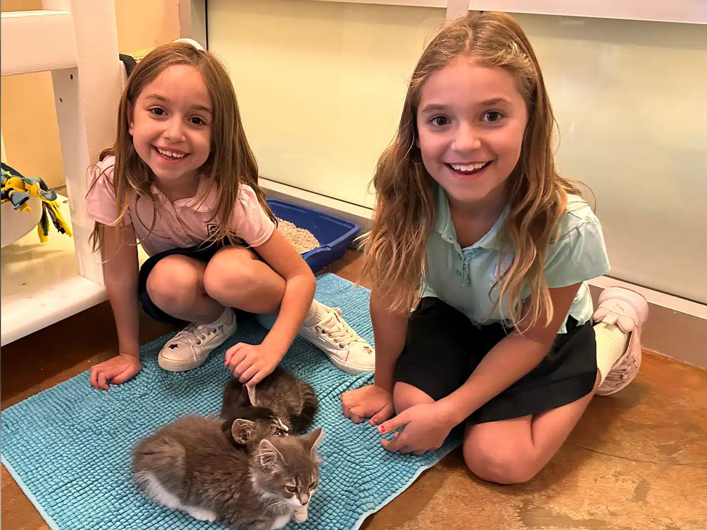 Joybound Recap – Week of October 20