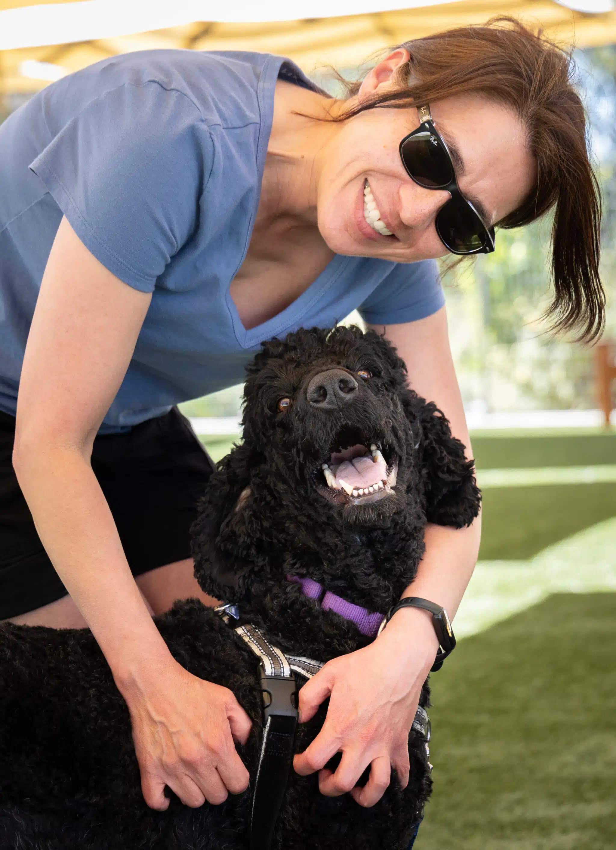 The Joy of Fostering Together