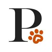 7 Signs Your Dog Is Unwaveringly Loyal, According to Experts (via Pet Parade)