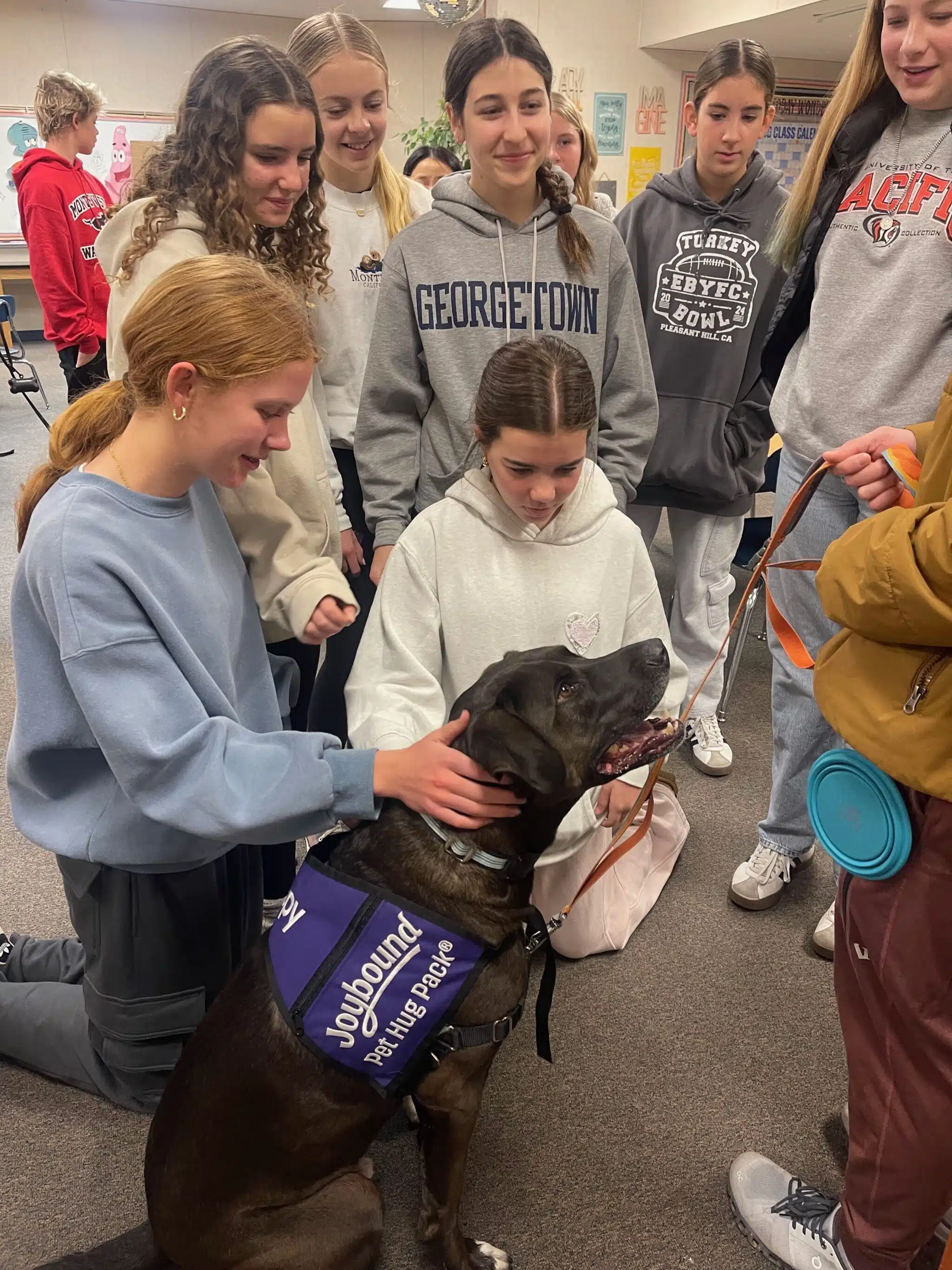 From Puppy Kisses to Therapy All Star