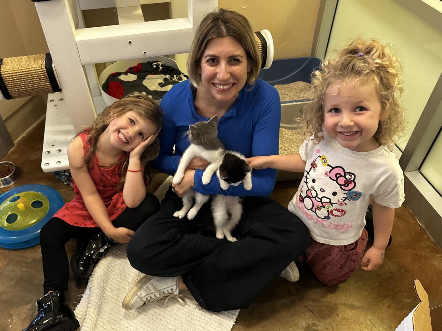 Adoption Recap – Week of November 3