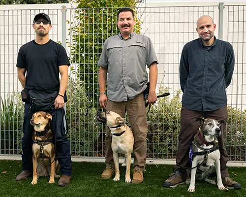 Shelter to Service Graduation Recap – November 11