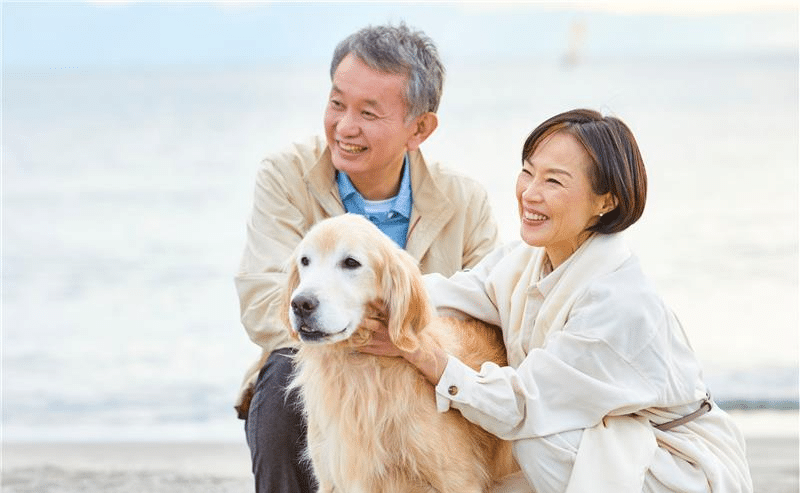 Paws & Plan: Estate Planning Webinar for Pet Guardians