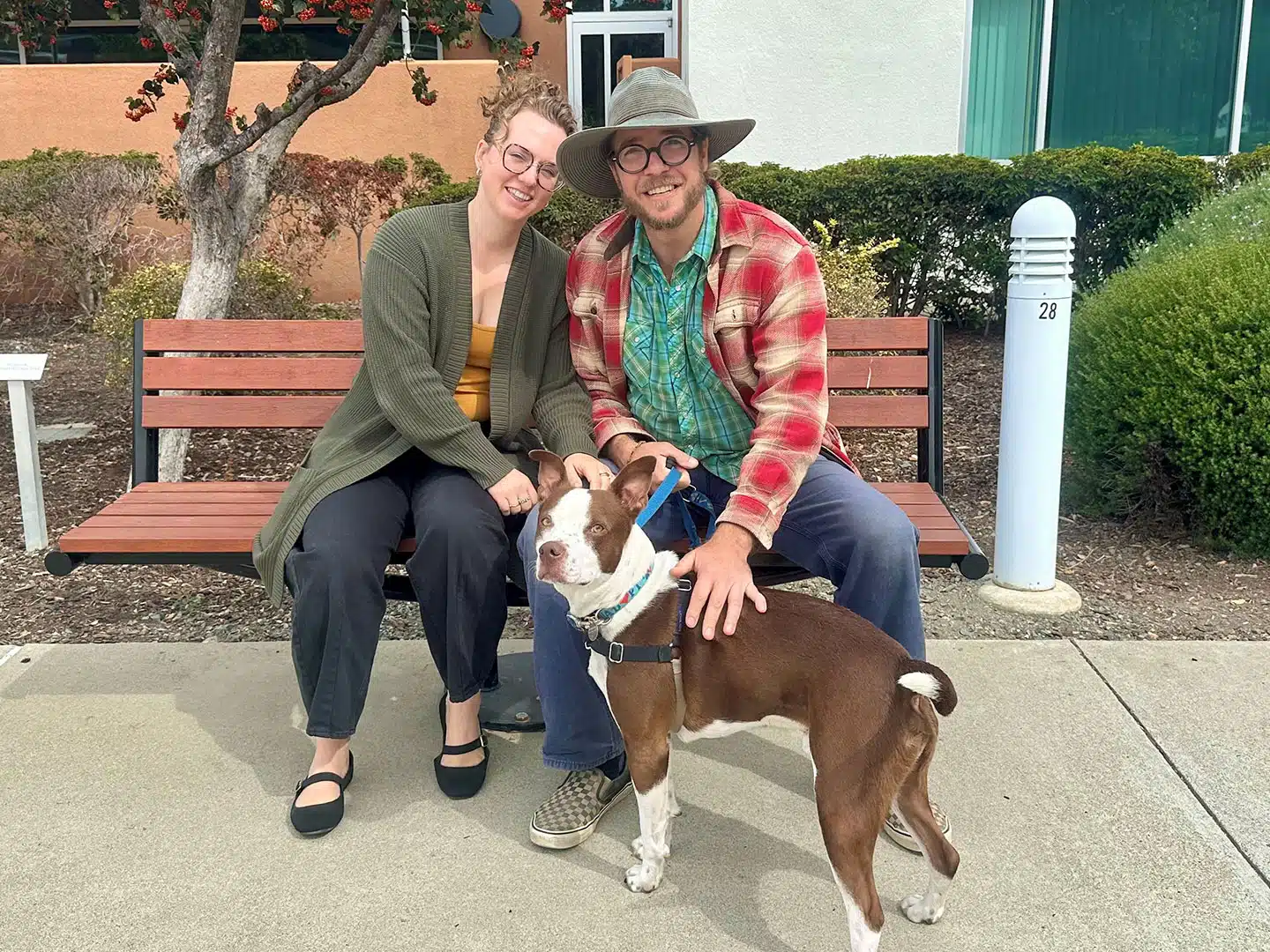 Pet Adoptions – Week of September 14