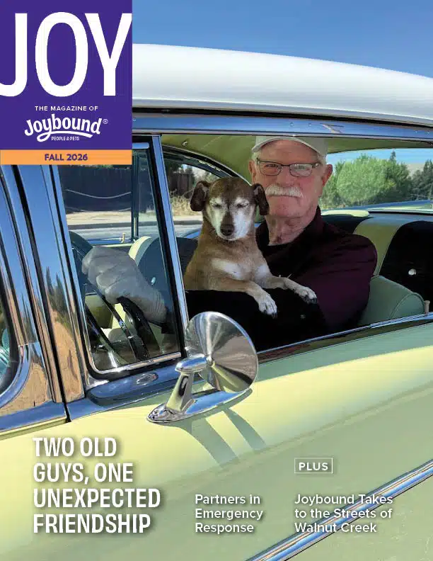 Joy Magazine – Fall 2026